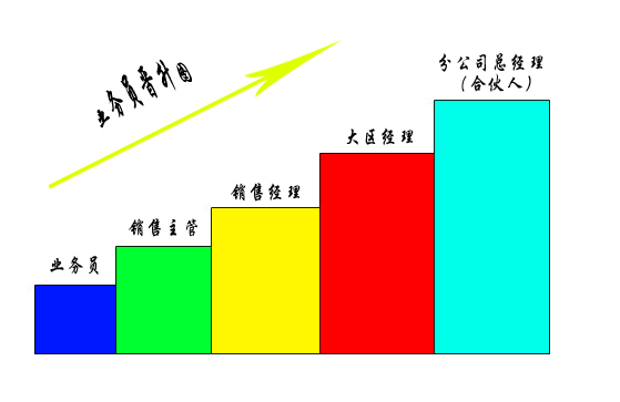 業(yè)務(wù)員晉升圖
